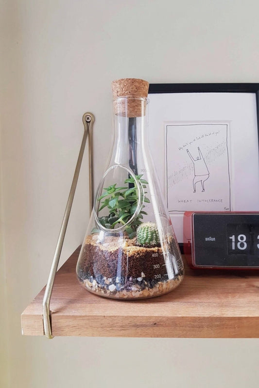 Chemistry Terrarium Kit