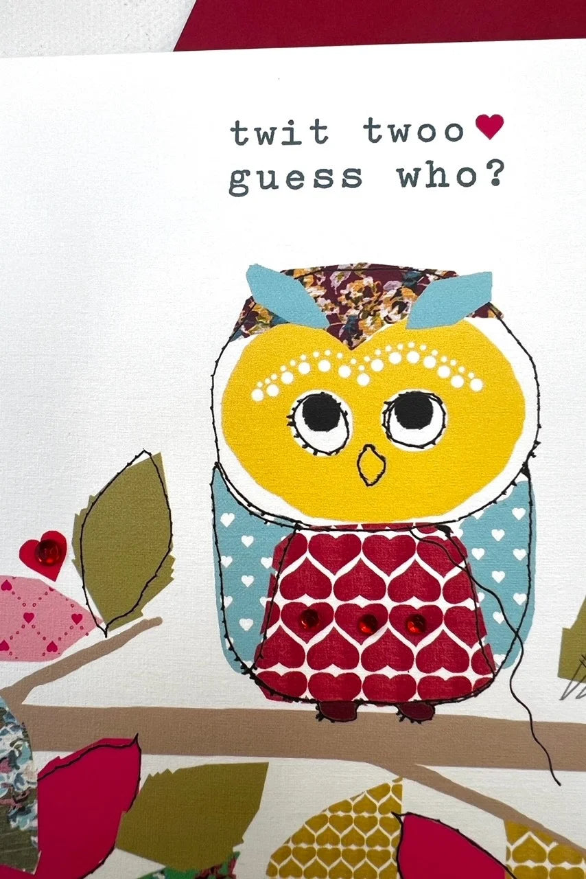 Twit Twoo Guess Who? Valentine's Card