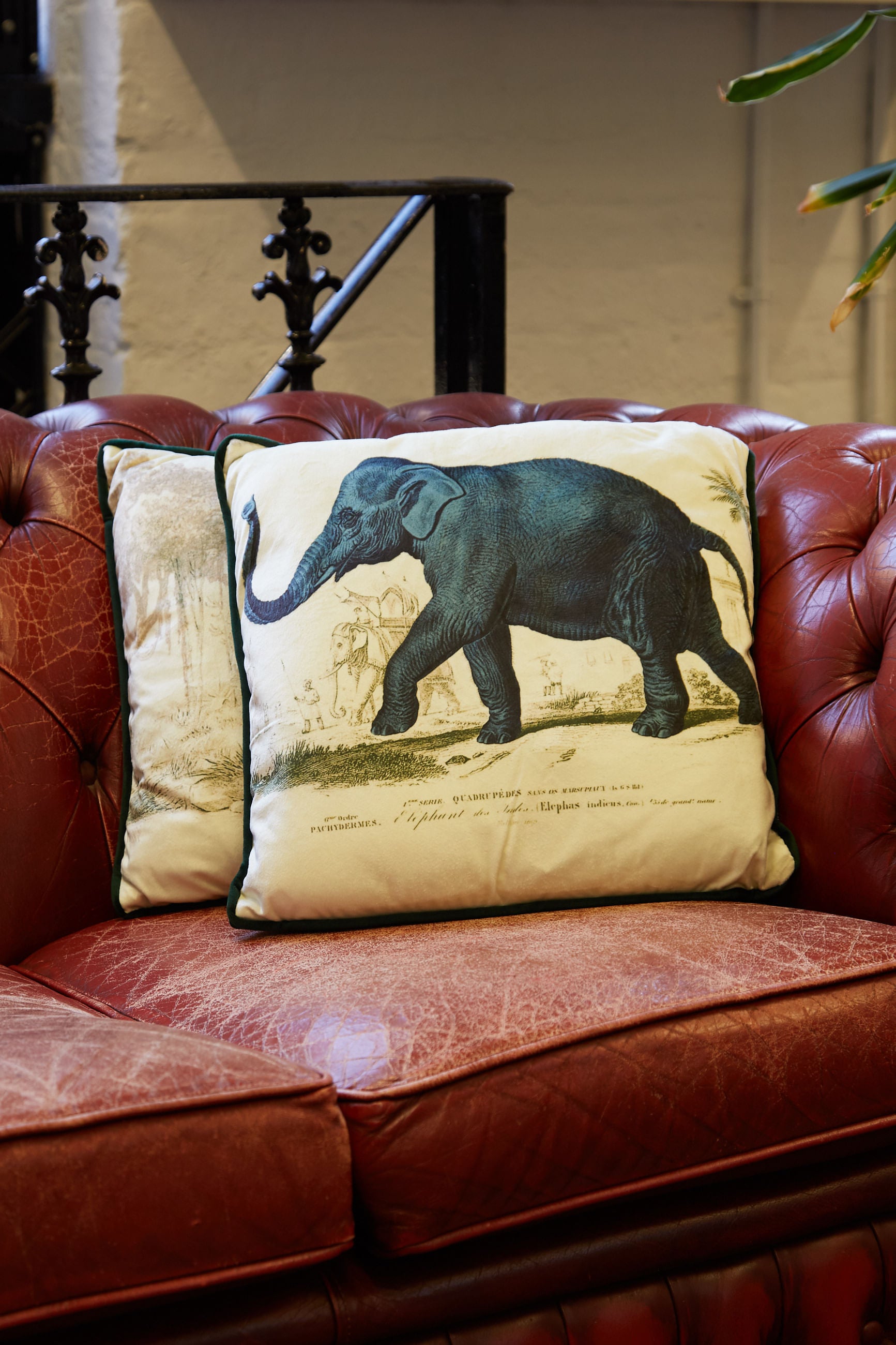 Elephant on sale cushion covers