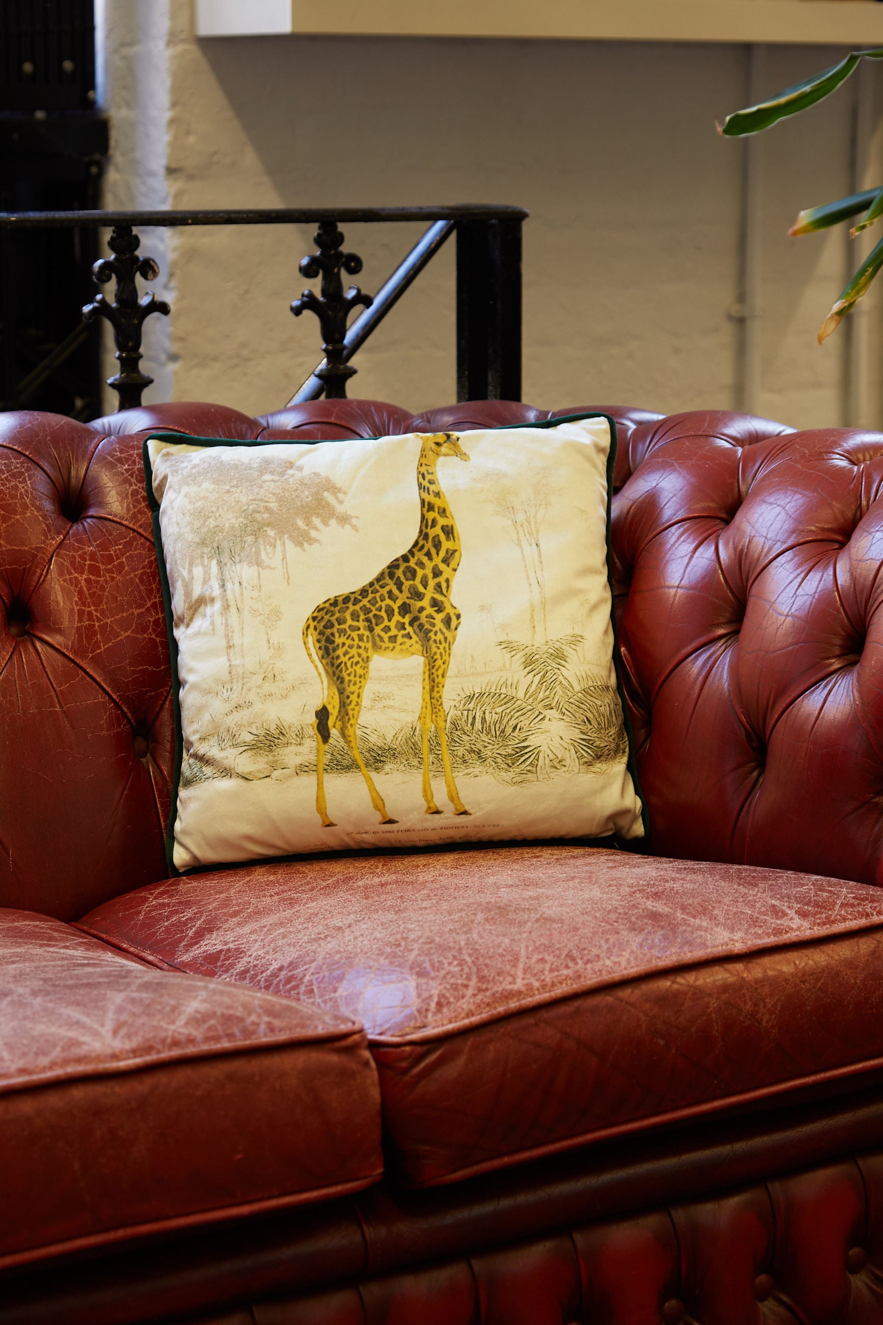 Giraffe hotsell print cushions