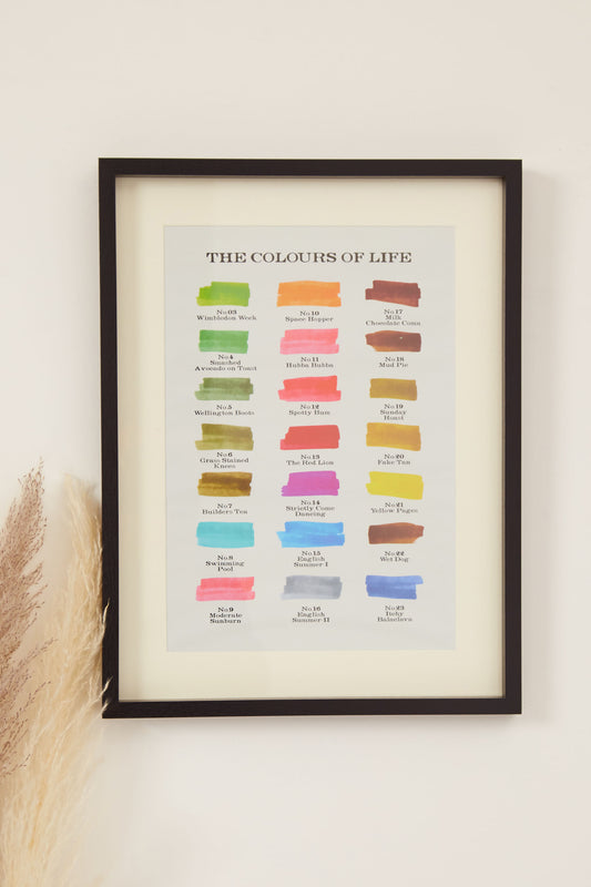 Colours Of Life Framed Print